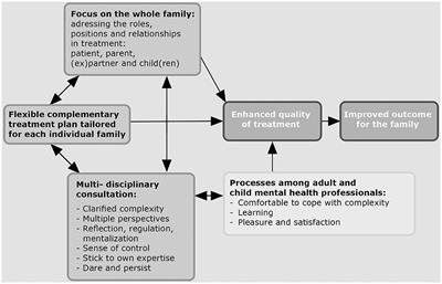 Integrated Family Approach in Mental Health Care by Professionals From Adult and Child Mental Health Services: A Qualitative Study